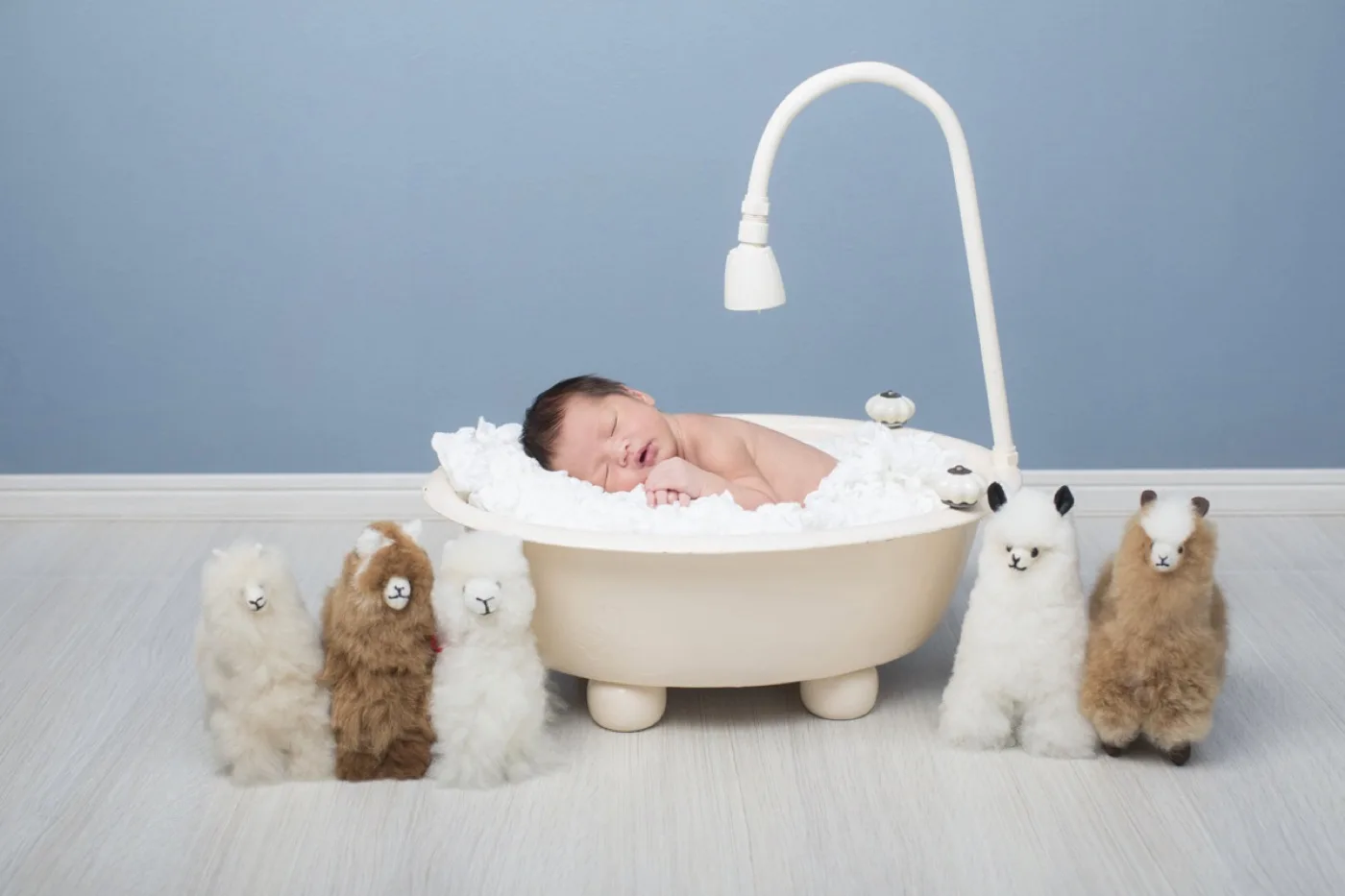 ベビーバスの中で眠る新生児と、まわりに並んだアルパカのぬいぐるみ